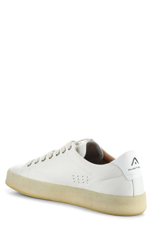 AMBITIOUS AMBITIOUS 13410 LOW TOP SNEAKER