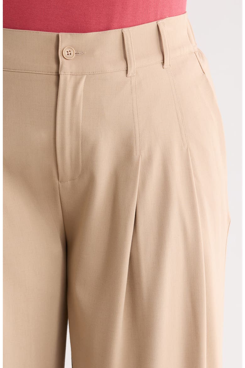 Pleated High Waist Ankle Wide Leg Pants, Alternate, color, CAPPUCCINO