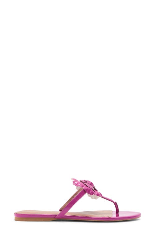 Linea Paolo Laurel Flower Sandal