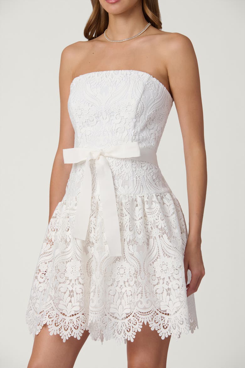 Midnight Medallion Lace Ester Dress, Alternate, color, Porcelain