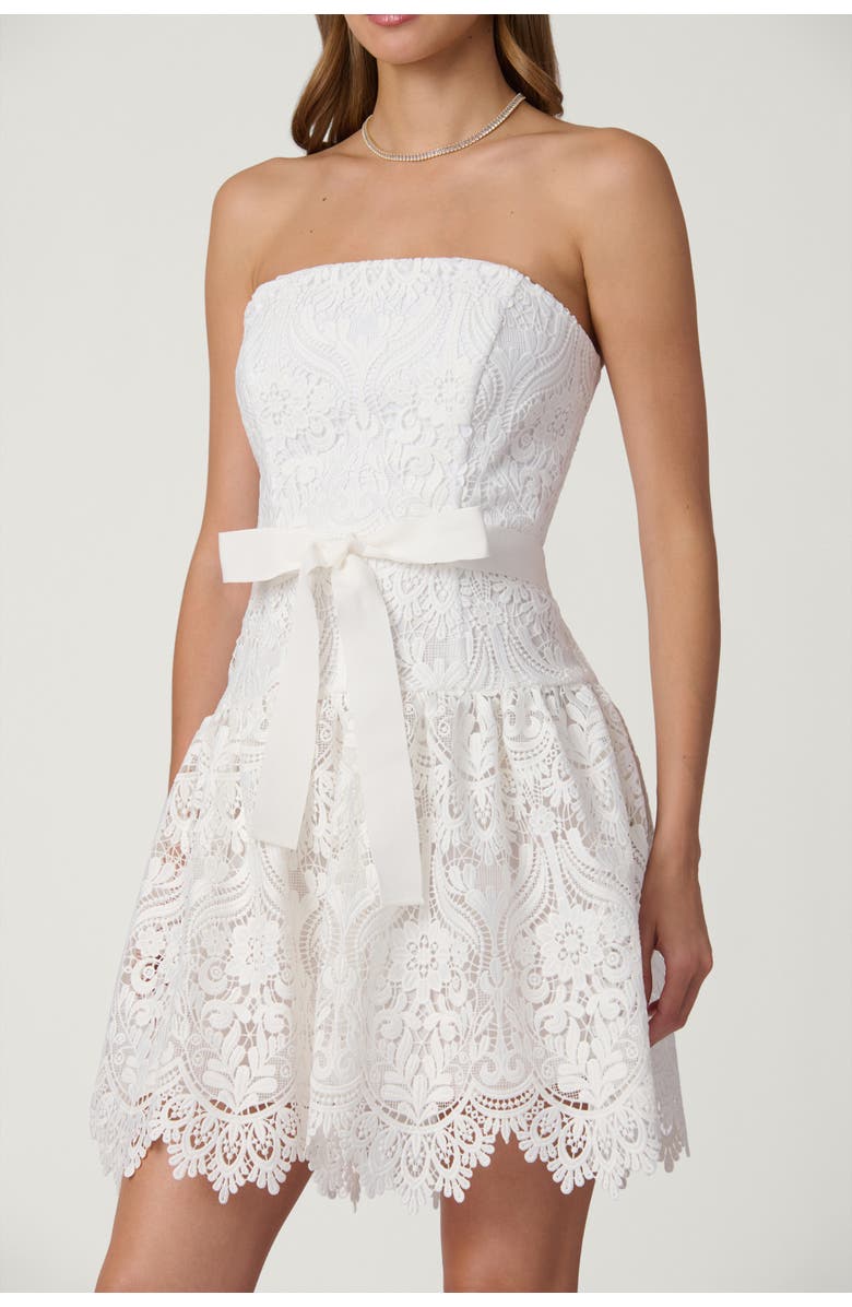 Shoshanna Midnight Medallion Lace Ester Dress, Alternate, color, Porcelain