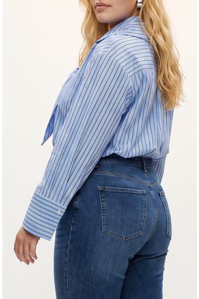 Scarf Neck Striped Shirt, Alternate, color, PROVENCE W/ FIONA STRIPES