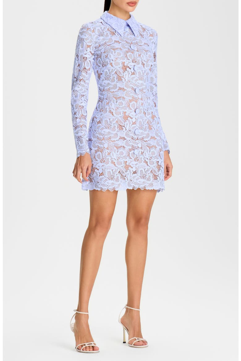 Lorna Floral Lace Long Sleeve Cocktail Minidress, Alternate, color, BLUE