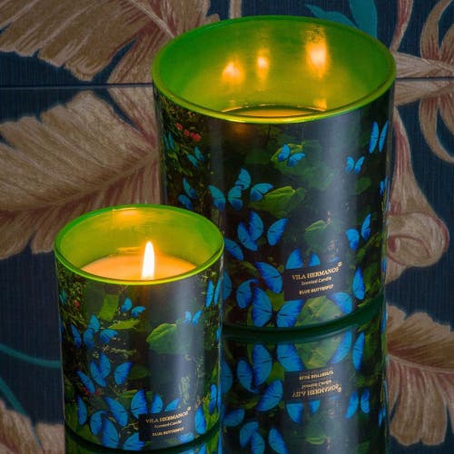 Vila Hermanos Vila Jungletropia Candle In A Jar In Green