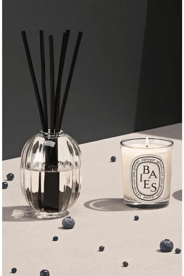Baies (Berries) Fragrance Reed Diffuser, Alternate, color, NO COLORDNU