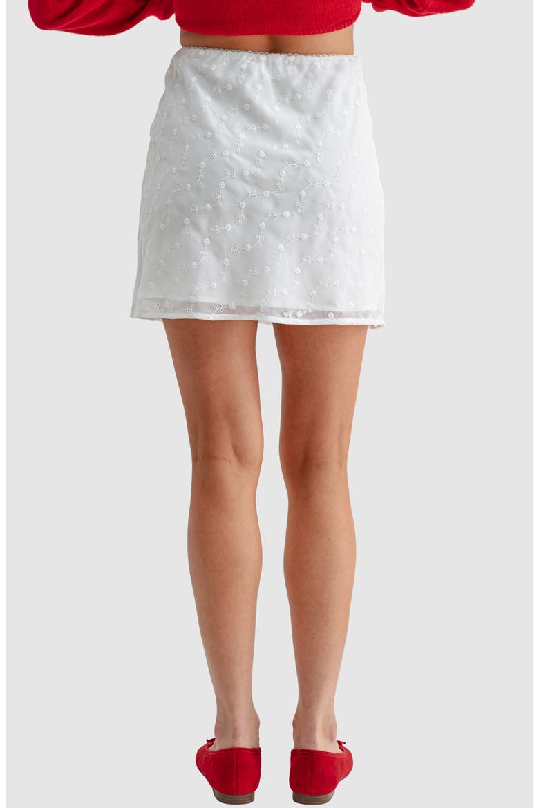 Embroidered Eyelet Miniskirt, Alternate, color, WHITE EMBO