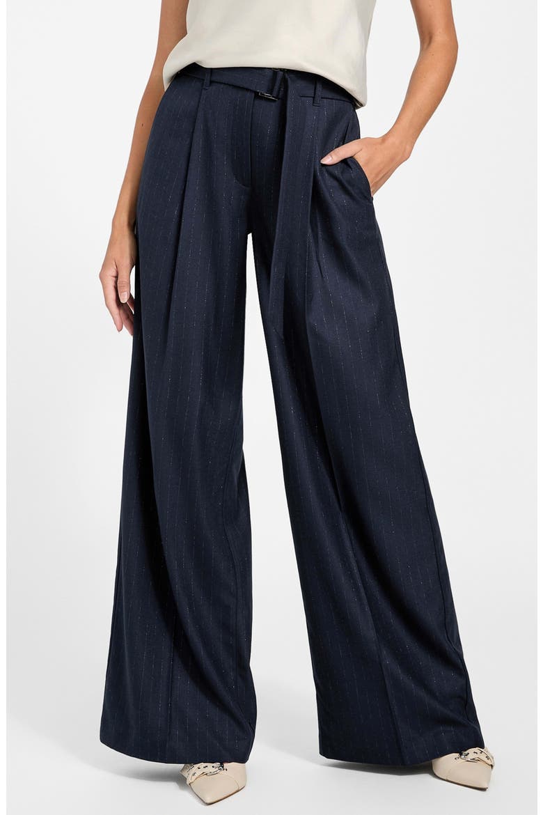 Zanita Pinstripe Wide Leg Pants, Main, color, S7Z1-DARK