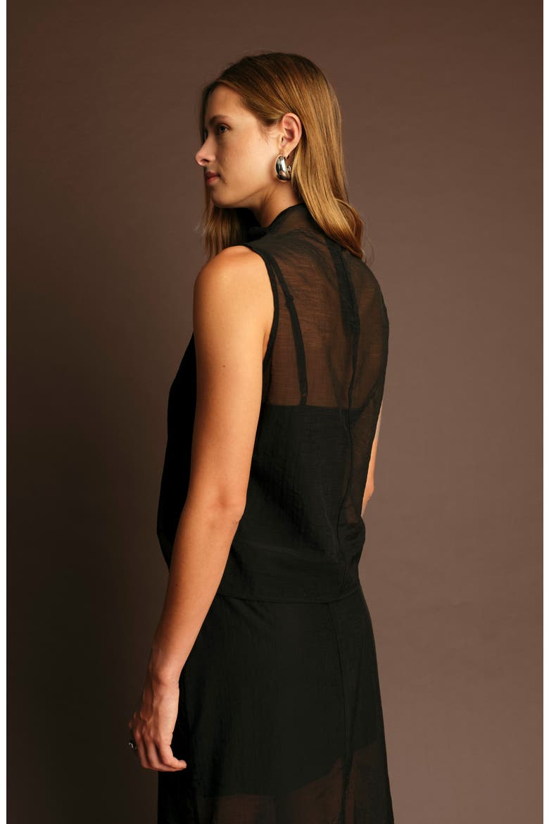 Hugh High Neck Sleeveless Sheer Top, Alternate, color, BLACK