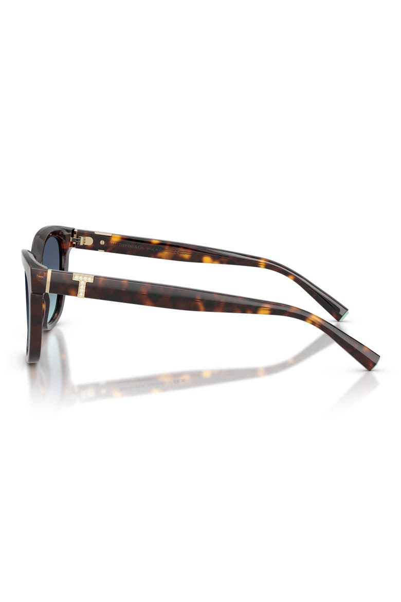 55mm Gradient Cat Eye Sunglasses, Alternate, color, HAVANA / AZURE GRADIENT BLUE