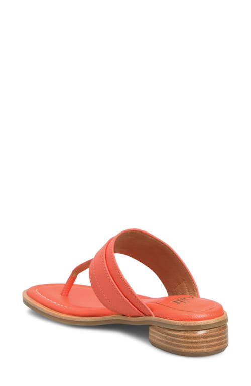 Söfft Fernanda Sandal