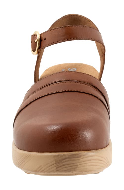 Shop Softwalk ® Fillmore Ankle Strap Platform Clog