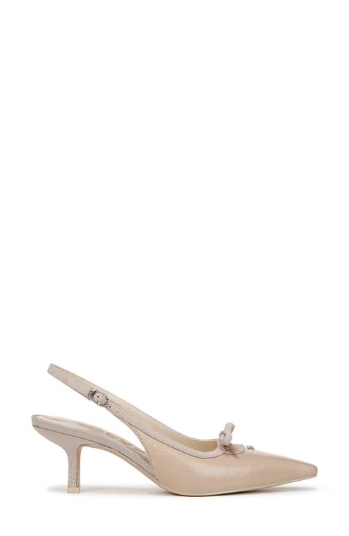 Circus Ny By Sam Edelman Cassidy Pointed Toe Slingback Pump