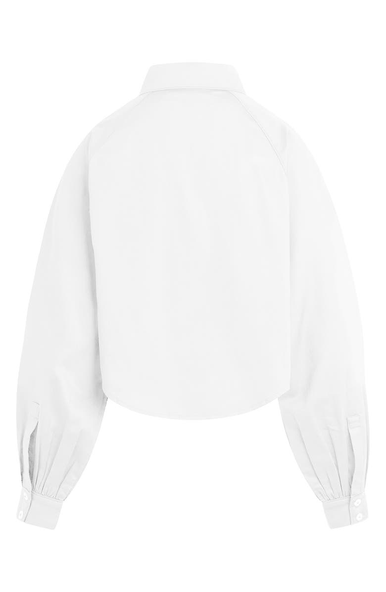 Hudson Jeans Raglan Balloon Sleeve Button-Down Top, Alternate, color, 