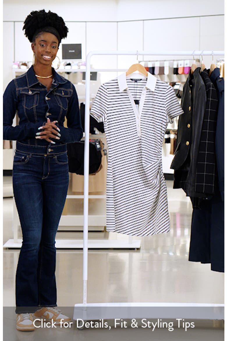 Lanier Stripe Polo Dress video