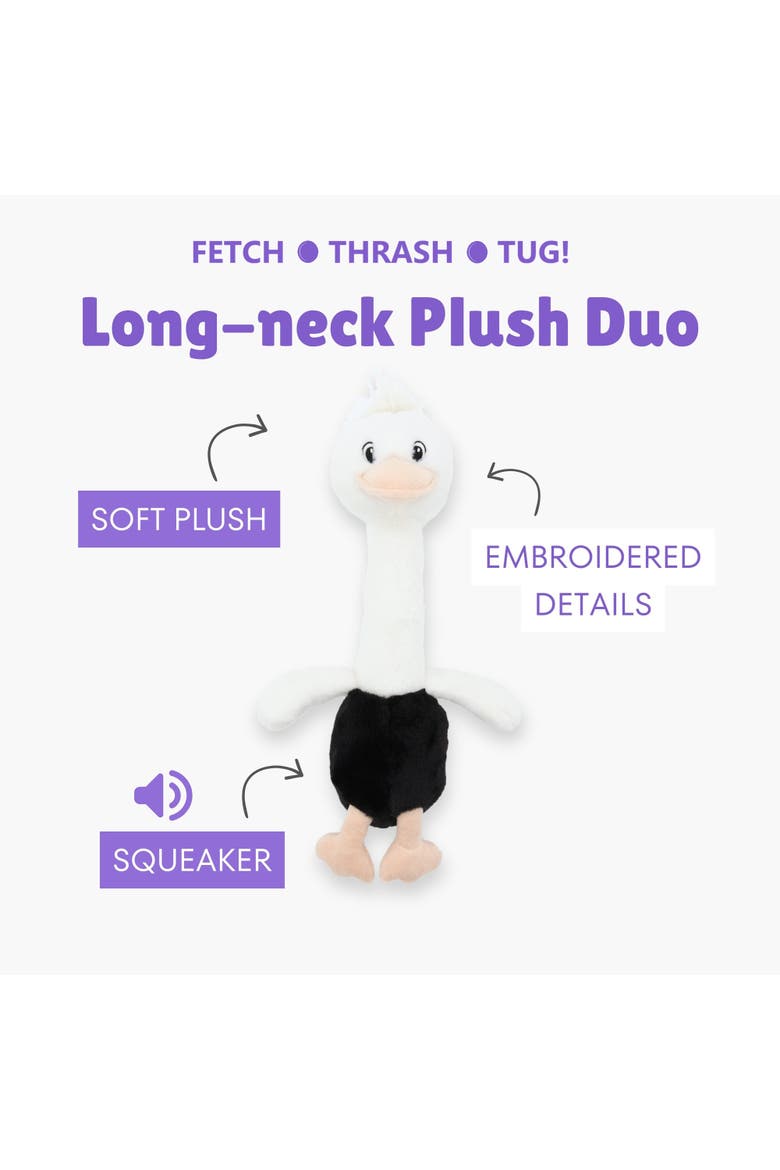 Turtle & Ostrich, 14 Inch Dog Toys, Alternate, color, Multicolored