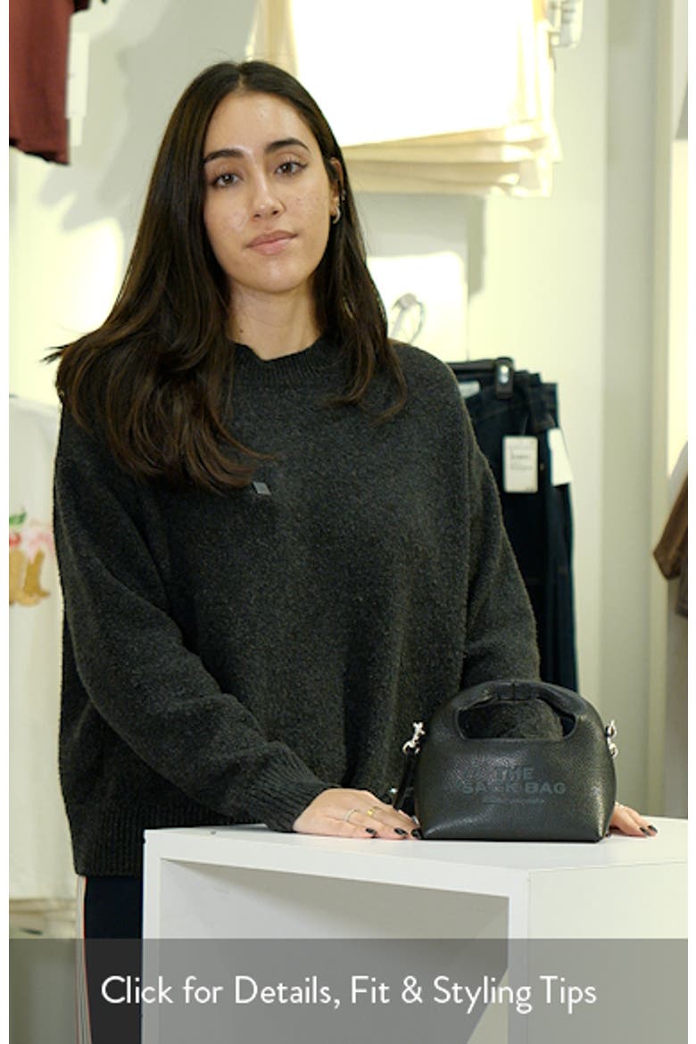 The Micro Crossbody Sack Bag video