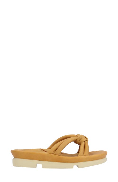L'amour Des Pieds Veda Sandal In Lioness