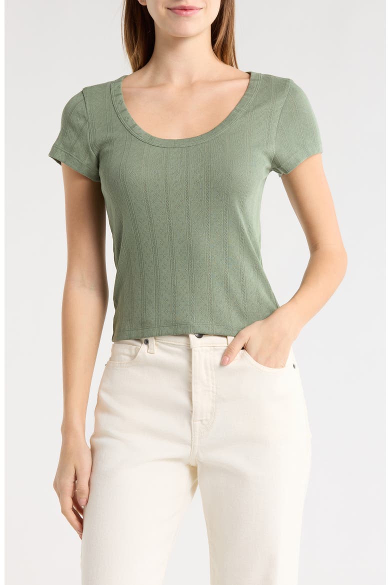 Lexi Pointelle Scoop Neck T-Shirt, Main, color, OLIVE