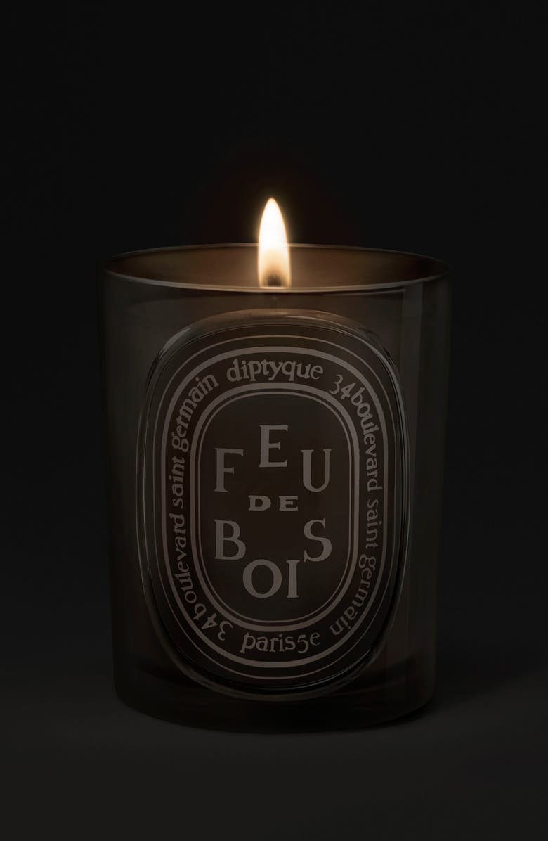 Diptyque Feu de Bois (Wood Fire) Medium Candle, Alternate, color, 