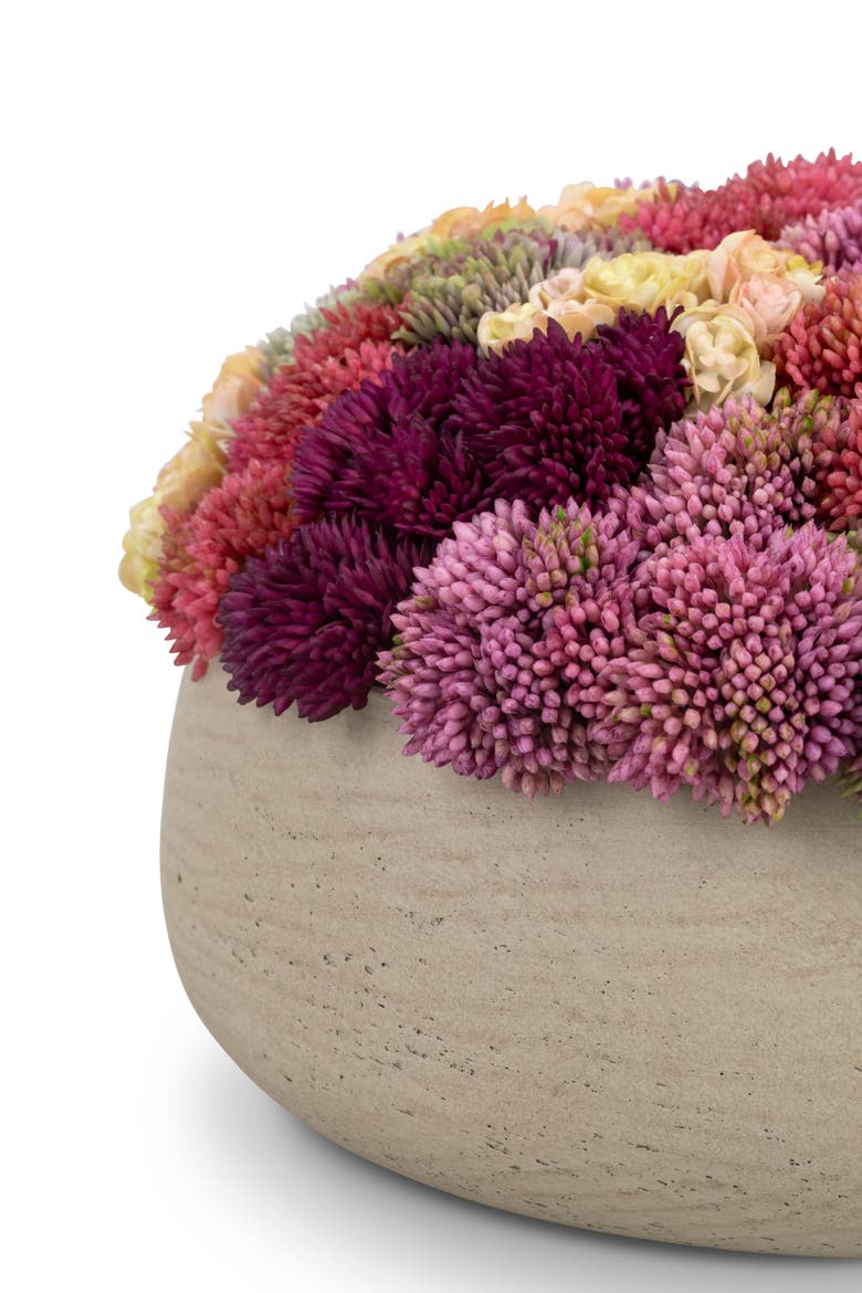 Ariane Sedum Arrangement, Alternate, color, Ash