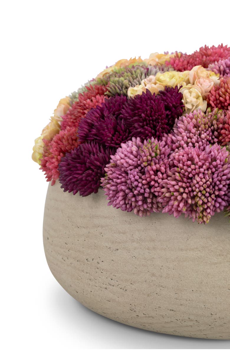 CocoBella Ariane Sedum Arrangement, Alternate, color, Ash