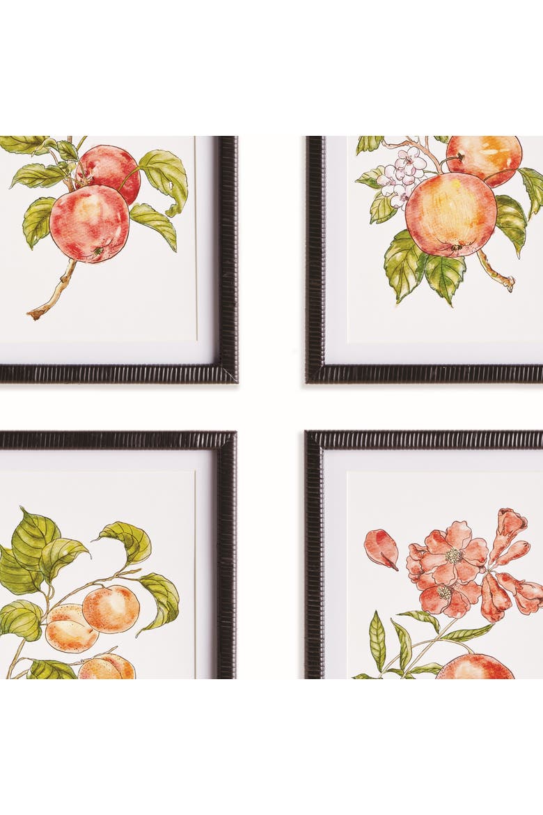 Autumnal Fruit Prints, Set of 4 - Pink/Orange - Fir Wood, Alternate, color, Pink