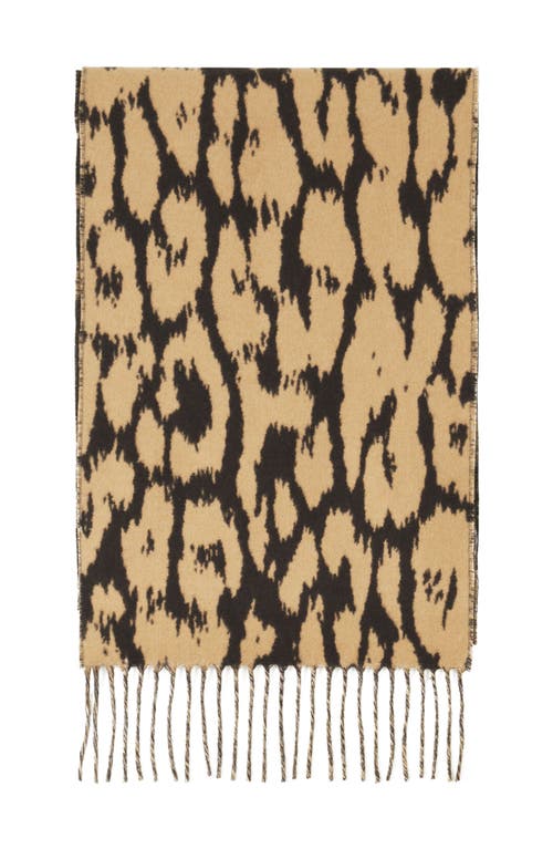 Lanvin Leopard Print Wool Scarf In Brown