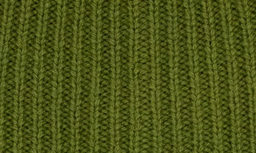 Portolano Contrast Detail Rib Cuff Beanie In Green