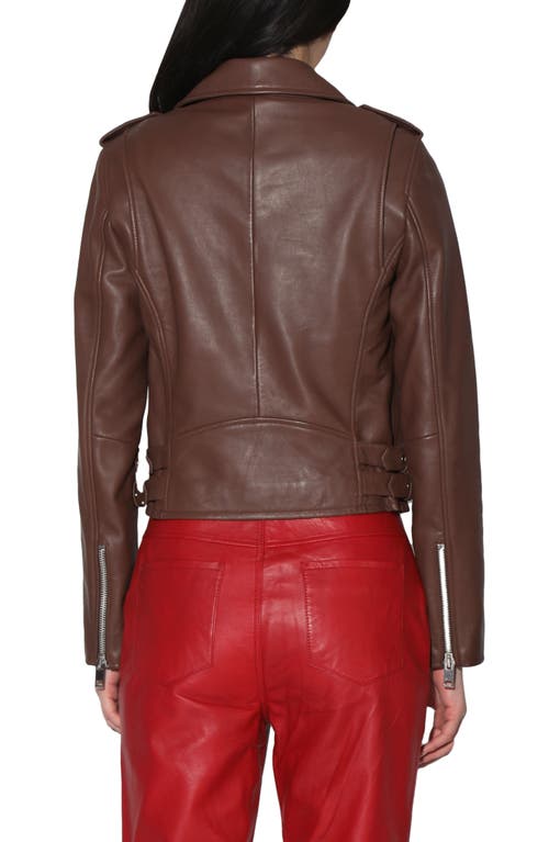 WALTER BAKER WALTER BAKER LIZ LEATHER CROP MOTO JACKET