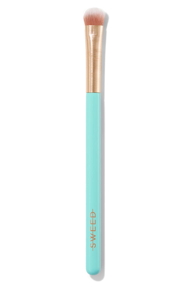 Eyeshadow Brush, Main, color, NO COLOR