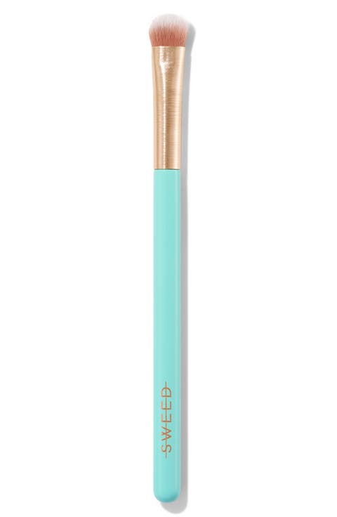 Eyeshadow Brush