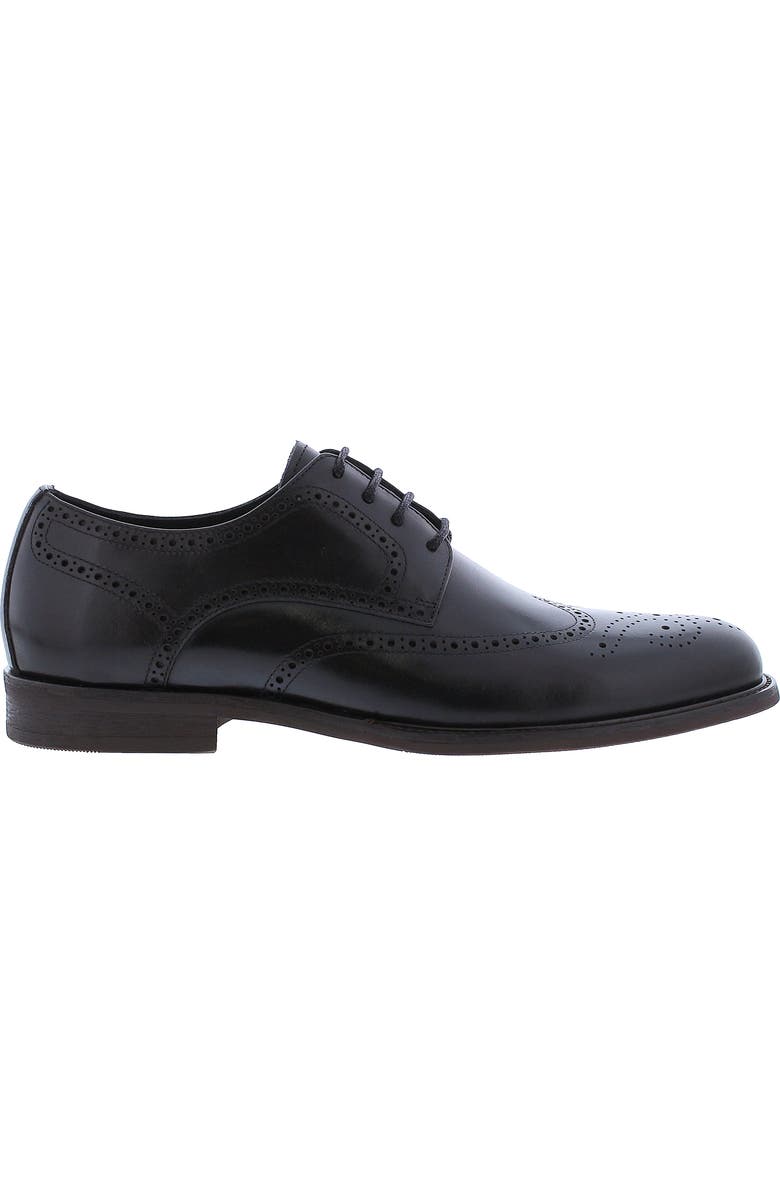 Zanzara Delos Brogued Wingtip Derby, Alternate, color,