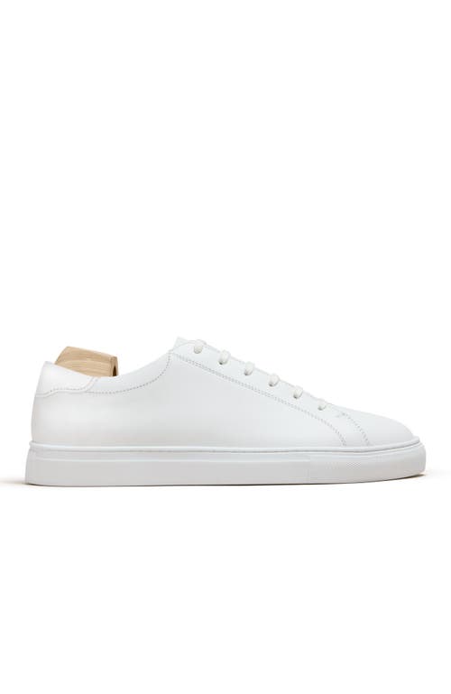 Myrqvist Oaxen Ii Sneakers In White