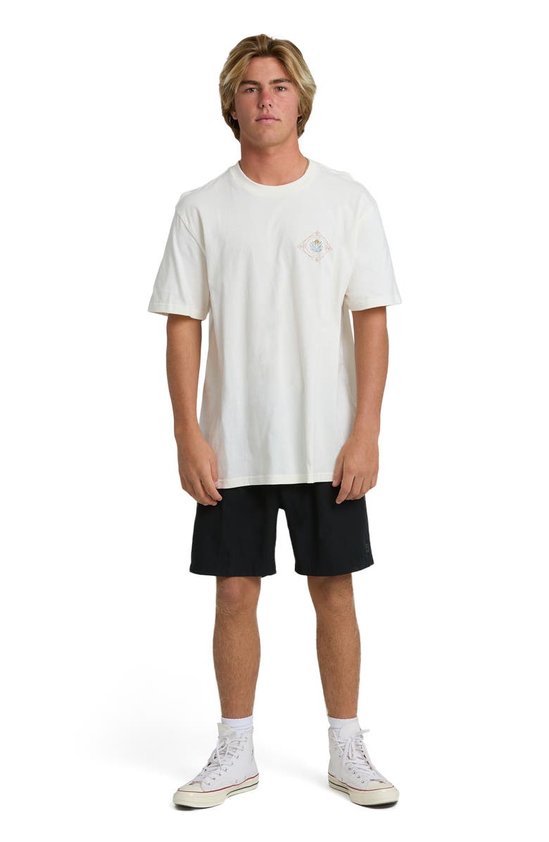 Billabong Agave Adventure Division Premium Cotton Graphic T-Shirt, Alternate, color, 