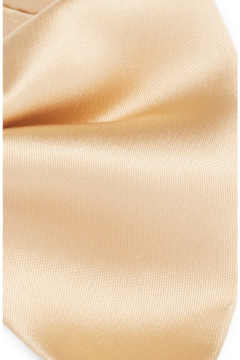 Silk Butterfly Bow Tie, Alternate, color, CHAMPAGNE
