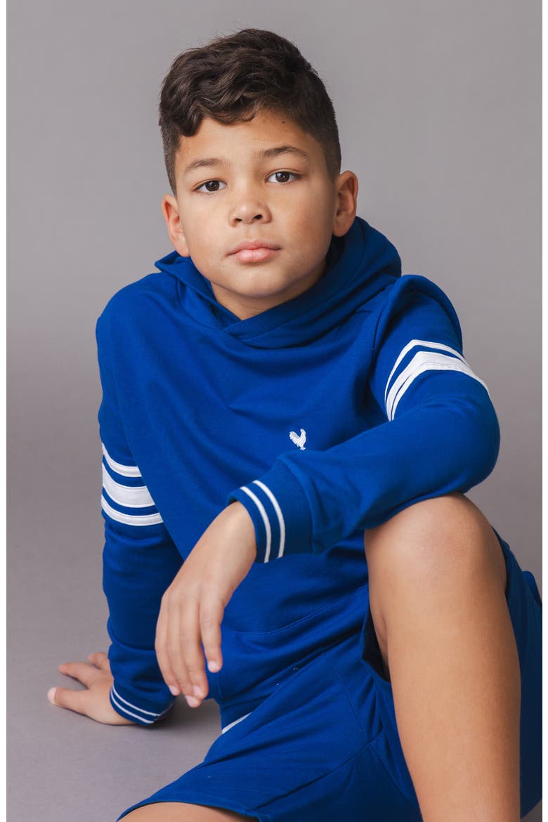 Kids' Organic French Terry Kanga Hoodie, Alternate, color, Bold Blue