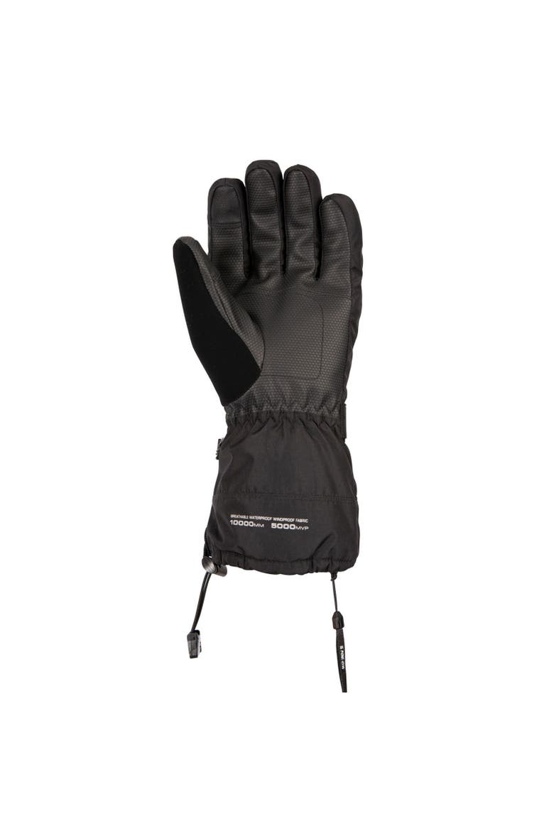 Gender Inclusive Lindley Dlx Ski Gloves, Main, color, Black