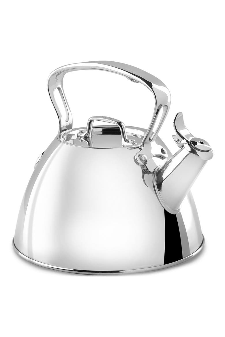 2-Quart Stainless Steel Tea Kettle, Main, color, STAINLESS STEEL