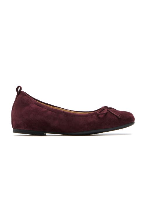 Abeo Cadence Bow Ballet Flat In Burgundy - Metatarsal