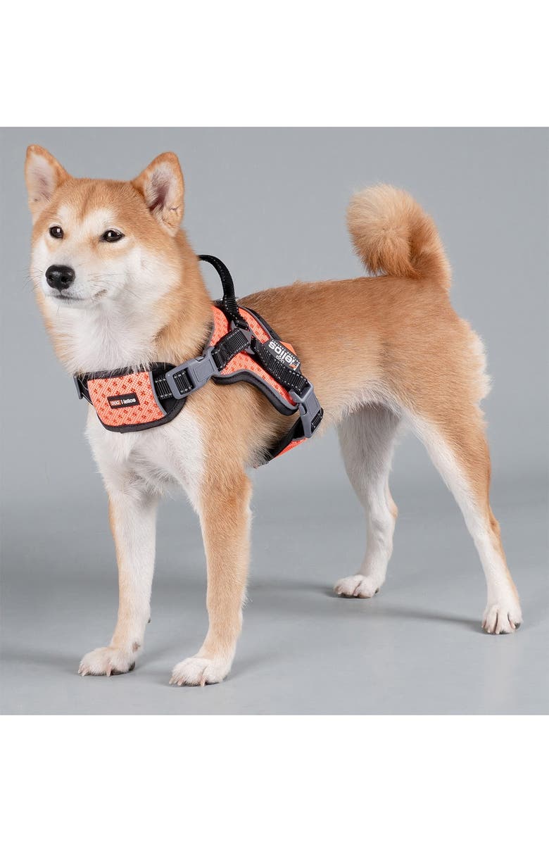 PET LIFE Dog Helios 'Scorpion' Sporty High-Performance Free-Range Dog Harness - Small, Alternate, color, Orange
