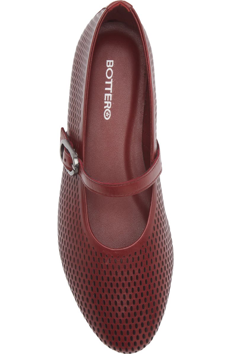 Bottero Ballet Flat, Alternate, color,