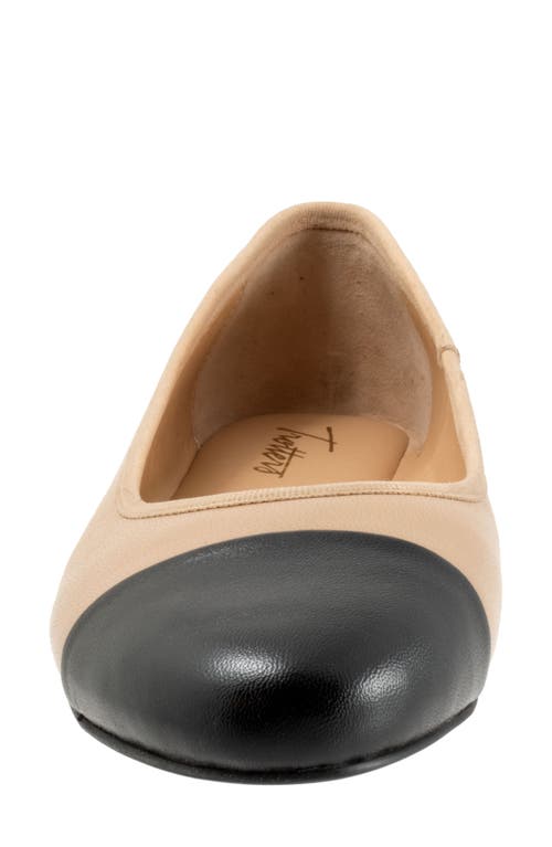 Trotters Clara Cap Toe Flat In Beige/black