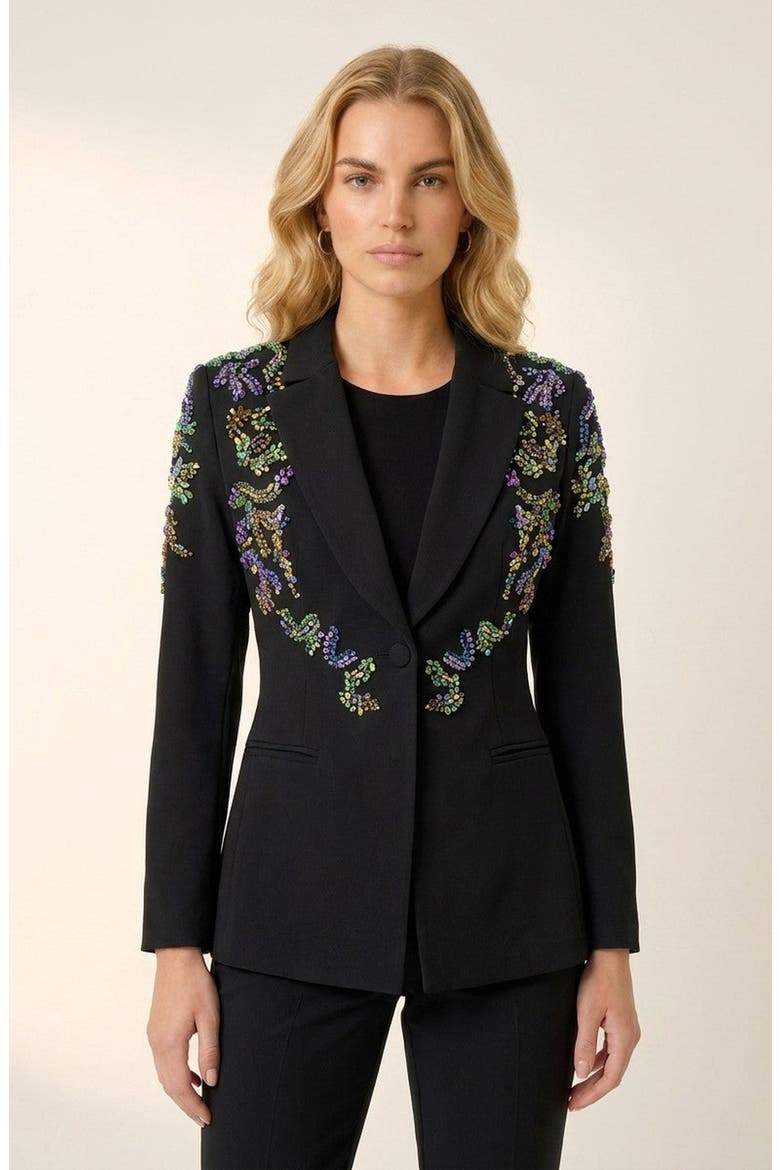 Embellished Beaded Blazer, Alternate, color, Black