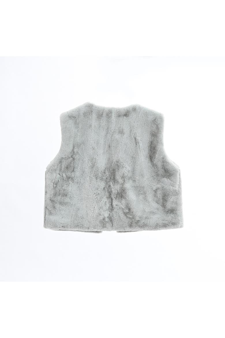 Tivoli Plush Fur Vest, Alternate, color, Grey