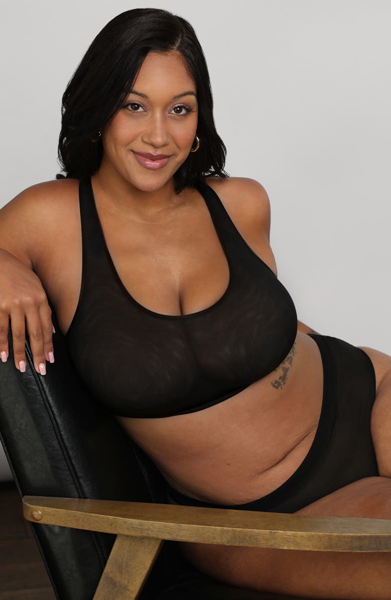 Curvy Couture Sheer Mesh High Cut Briefs, Alternate, color, Black/Flirt/Black