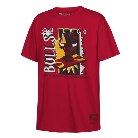 Youth Mitchell & Ness Red Chicago Bulls Retro '90s Poster T-Shirt