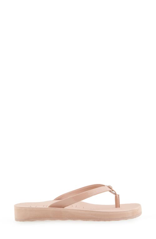 AEROSOLES AEROSOLES JACE FLIP FLOP