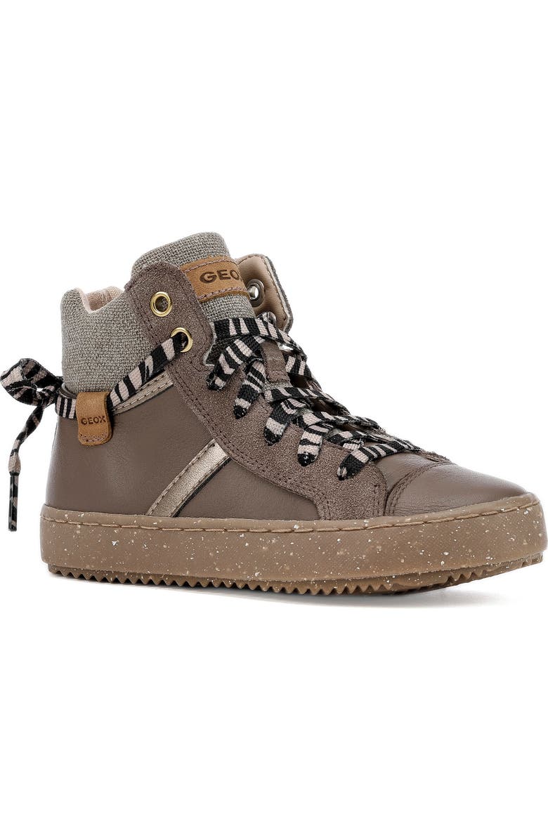 Geox x WWF Kalispera High Top Sneaker, Main, color,