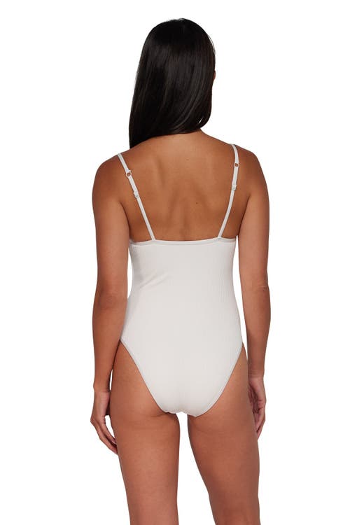 Pacifica By Sunsets Ariel One Piece Swimsuit
