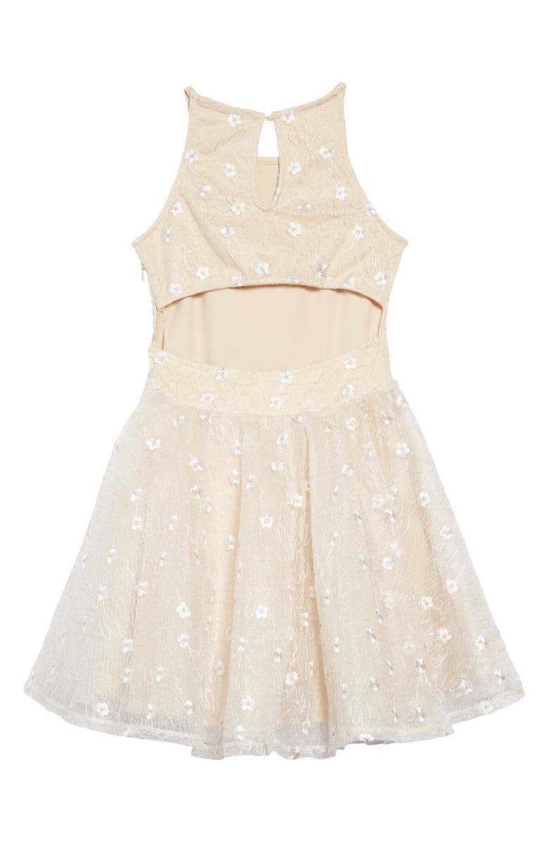 Miss Behave Josie Alençon Floral Dress, Alternate, color,